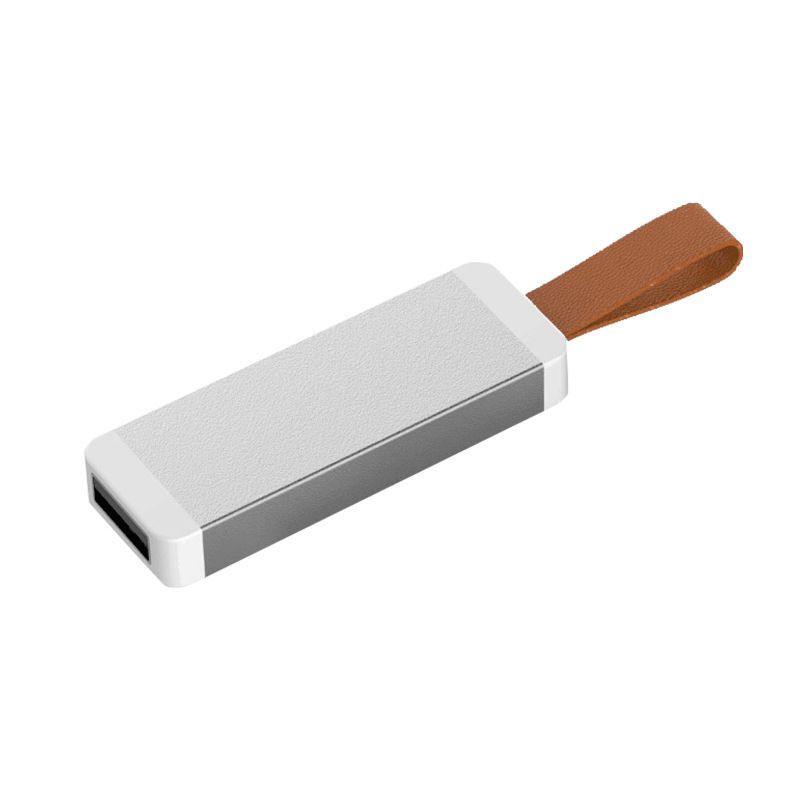 New type of metal push-pull cord U-disk portable fashion, can be customized logo plastic push-pull U-disk 