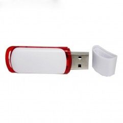 Classic plastic U disk can be customized 4g8g plas...