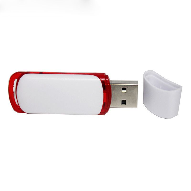 Classic plastic U disk can be customized 4g8g plas...