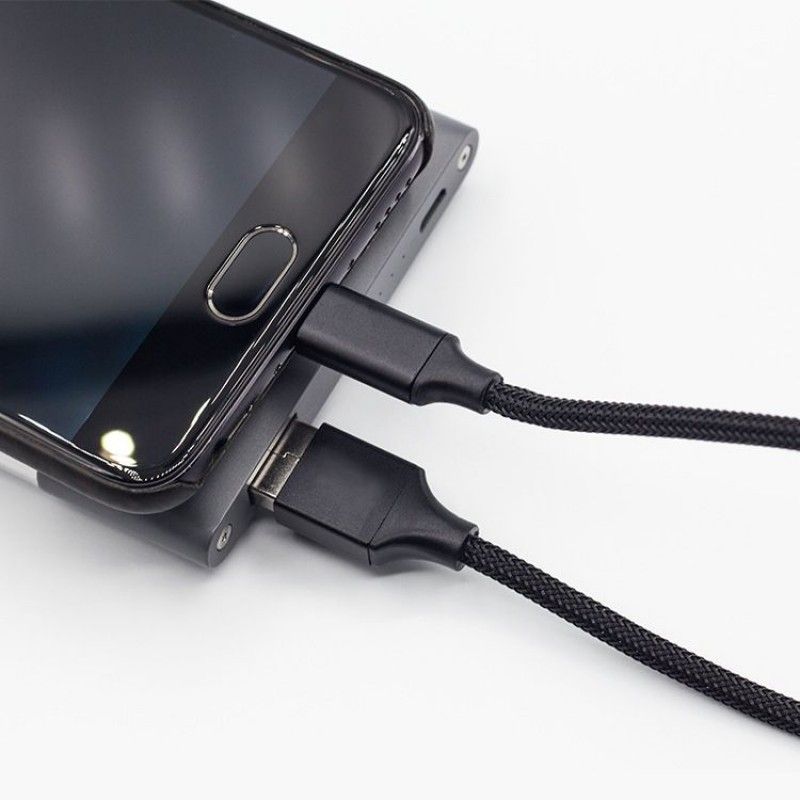 Power bank data line painting oil painting chestnut roast simple restaurant electricity type-C Android mobile power portable charging line