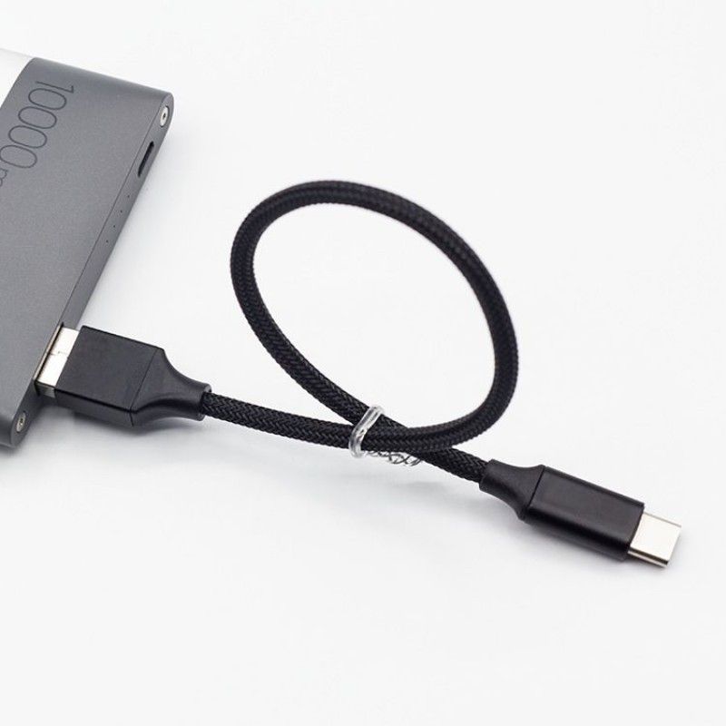 Power bank data line painting oil painting chestnut roast simple restaurant electricity type-C Android mobile power portable charging line