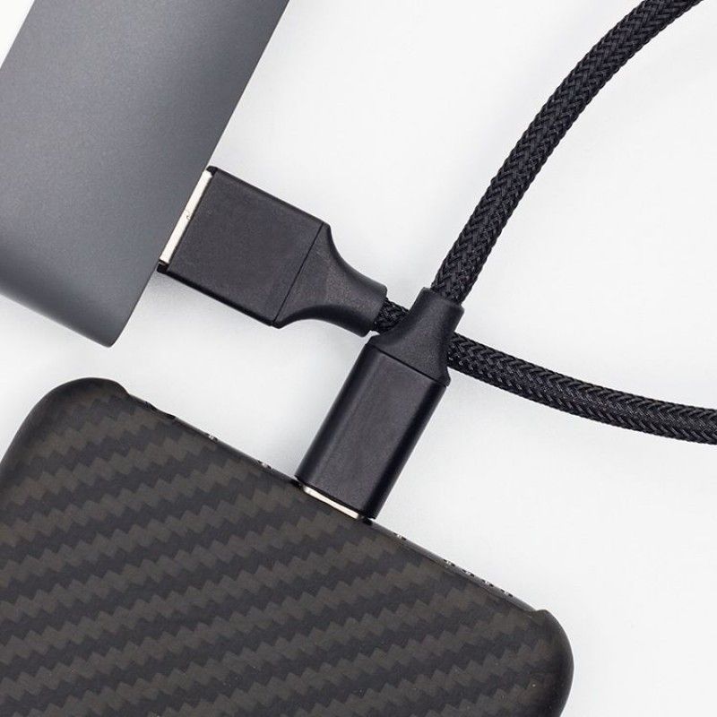 Power bank data line painting oil painting chestnut roast simple restaurant electricity type-C Android mobile power portable charging line